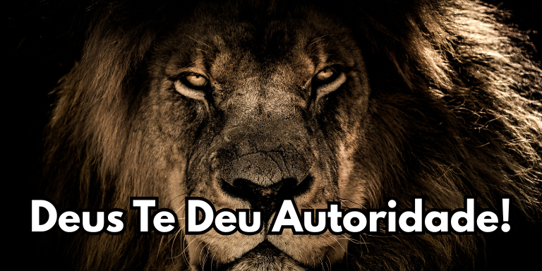 titulo do texto